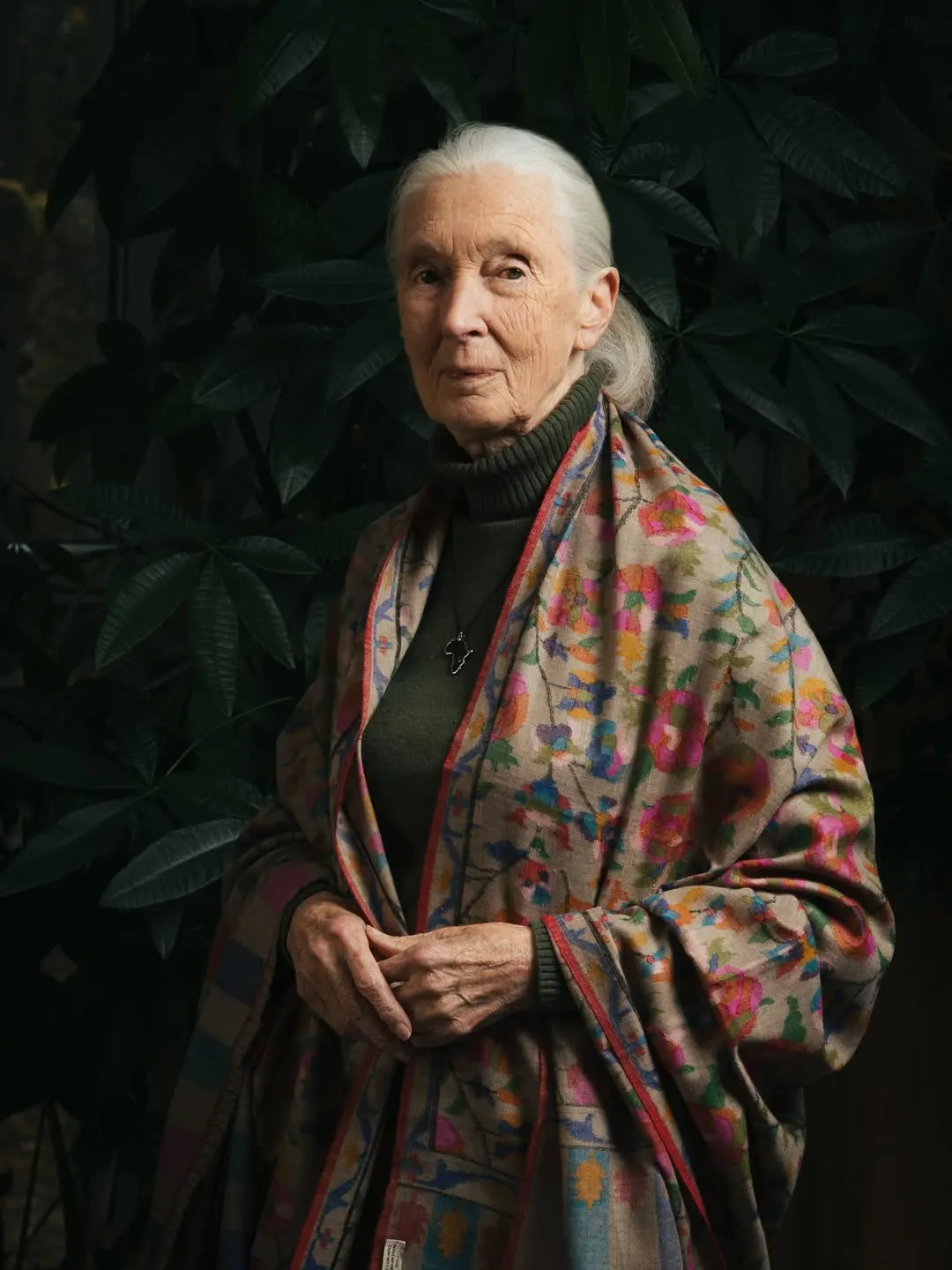 霊長類学界の巨匠であり保護運動の先駆者であるジェーン・グドール（Jane Goodall）は2025年10月1日に逝去し、91歳であった。（出典：ジェーン・グドール協会）