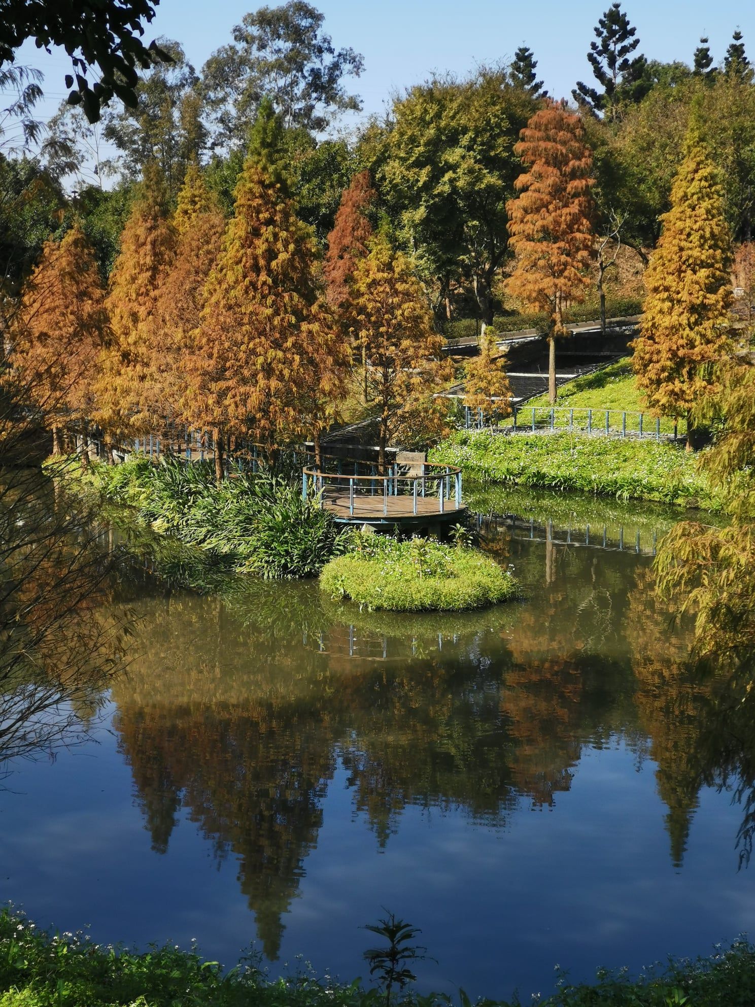 長庚養生文化村。（圖／取自長庚養生文化村臉書）