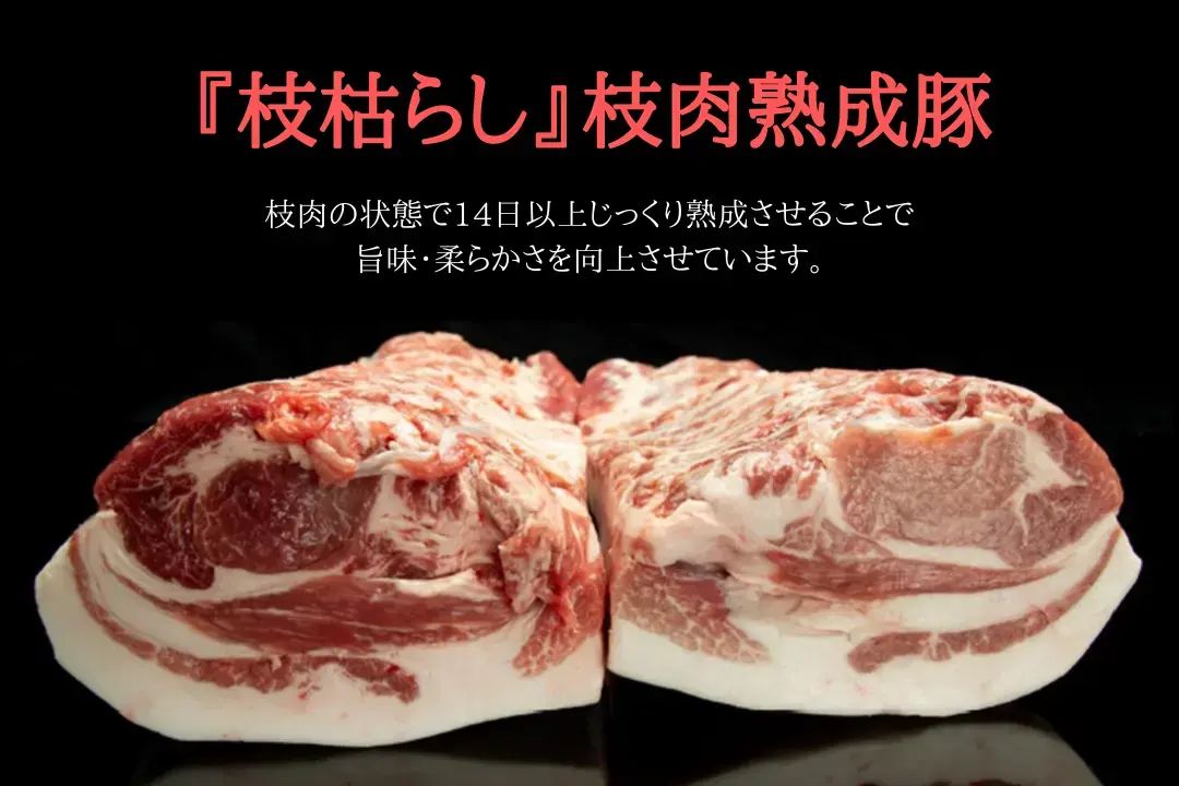 風傳媒は、ミシュラン掲載店「Fry家」の姉妹店「熟成とんかつ フライ家 四ツ谷」開業に際し、StyLe社へ独自インタビューを実施し、その経緯やこだわりを取材した。株式会社StyLe