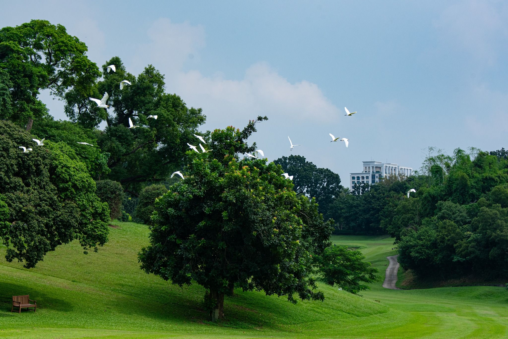 高雄果嶺自然公園。（圖／取自高雄果嶺自然公園臉書）