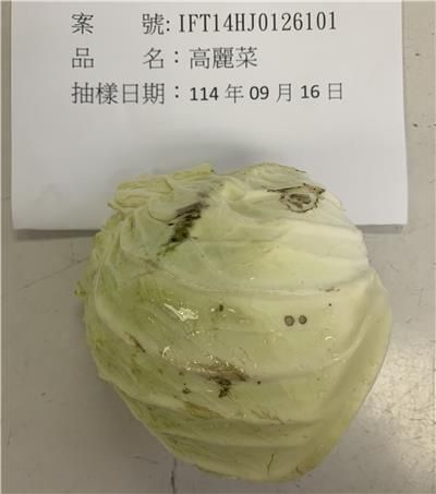 越南出口「高麗菜」農藥殘留含量不符規定。（圖／取自食藥署）
