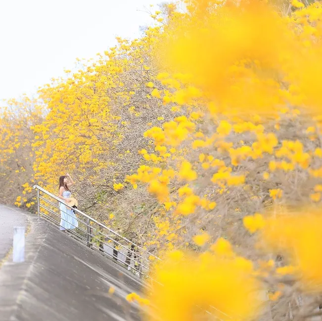 大林景點一日遊推薦：大林陳井寮堤防（圖／取自IG@hsingfang20授權分享）