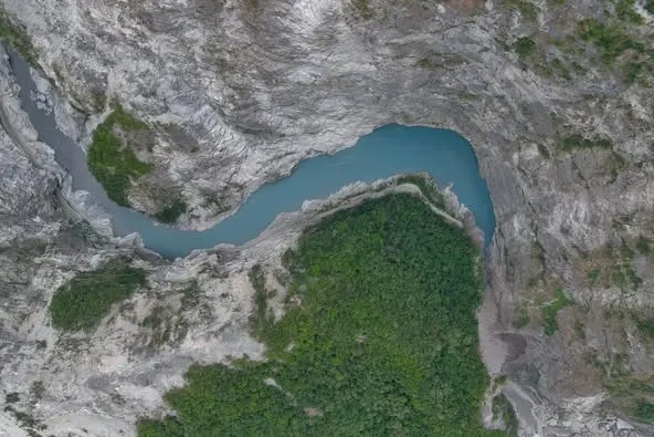  （図／林業及び自然保育署花蓮分署フェイスブックより）