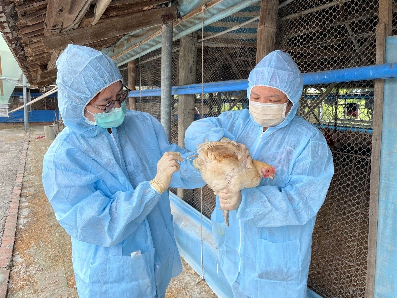 動物防疫人員加強禽場監測採樣，早期清除環境潛藏病原。(圖/台南市動保處)