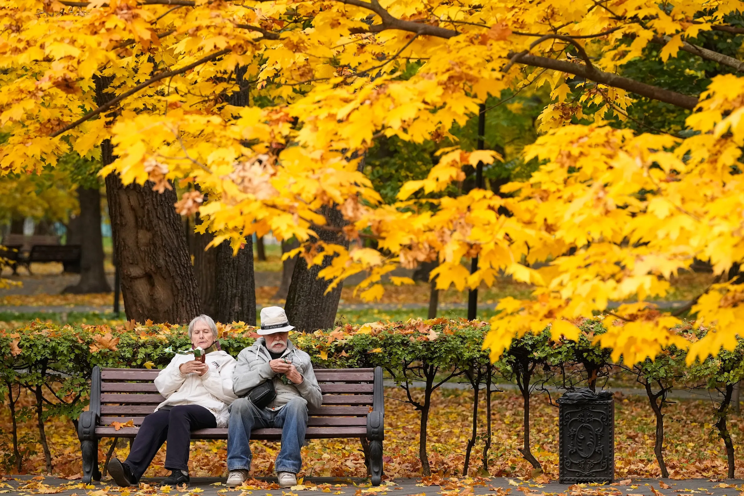 2025年10月9日，俄羅斯莫斯科，民眾坐在列福爾托夫斯基公園（Lefortovsky Park）的長椅上，周圍樹葉染上濃濃秋意，景色宜人。（美聯社）