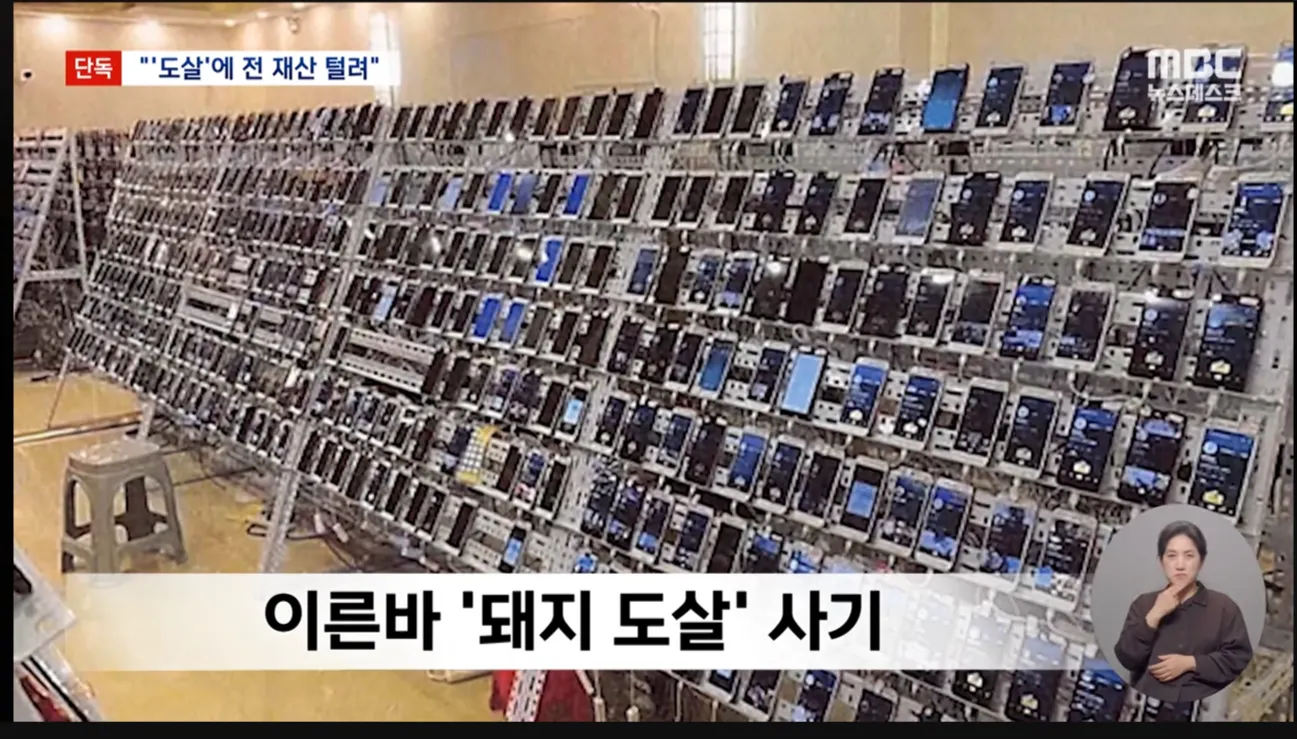 南韓近年「殺豬盤」詐騙案件倍增，受騙金額也快速上漲。（翻攝自MBC新聞影片）