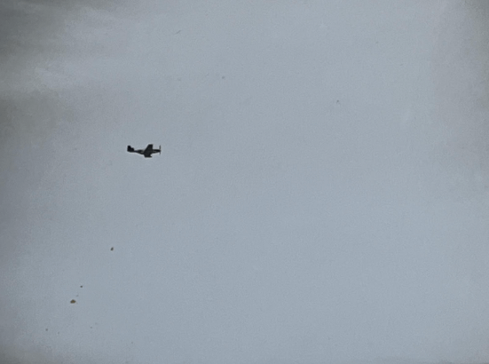 接受「獅子」小組呼喚，飛到隴海鐵路上空炸射日軍、「偽軍」以及共軍的P-51野馬機。