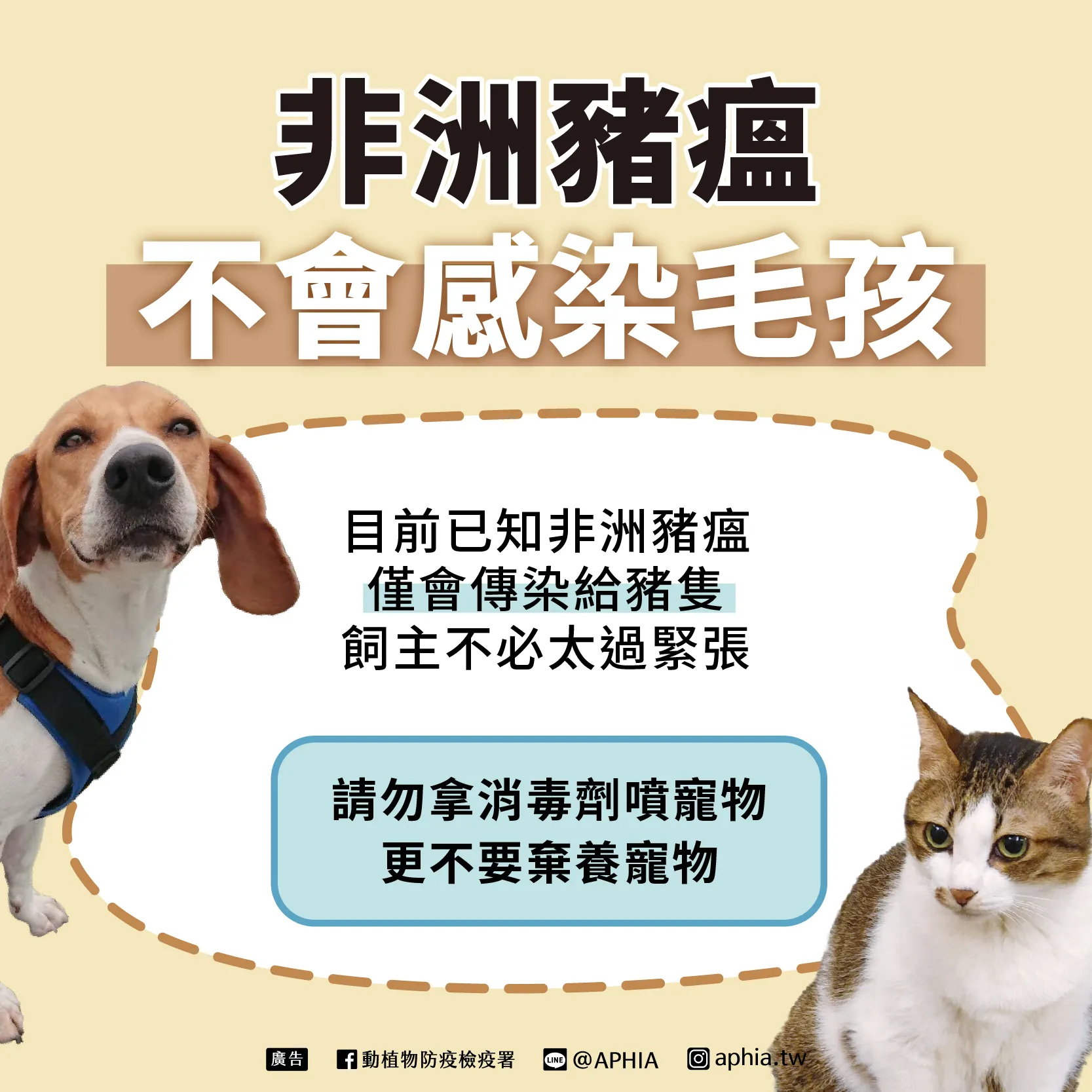 非洲豬瘟並不會感染到毛小孩。（圖／取自動植物防疫檢疫署）