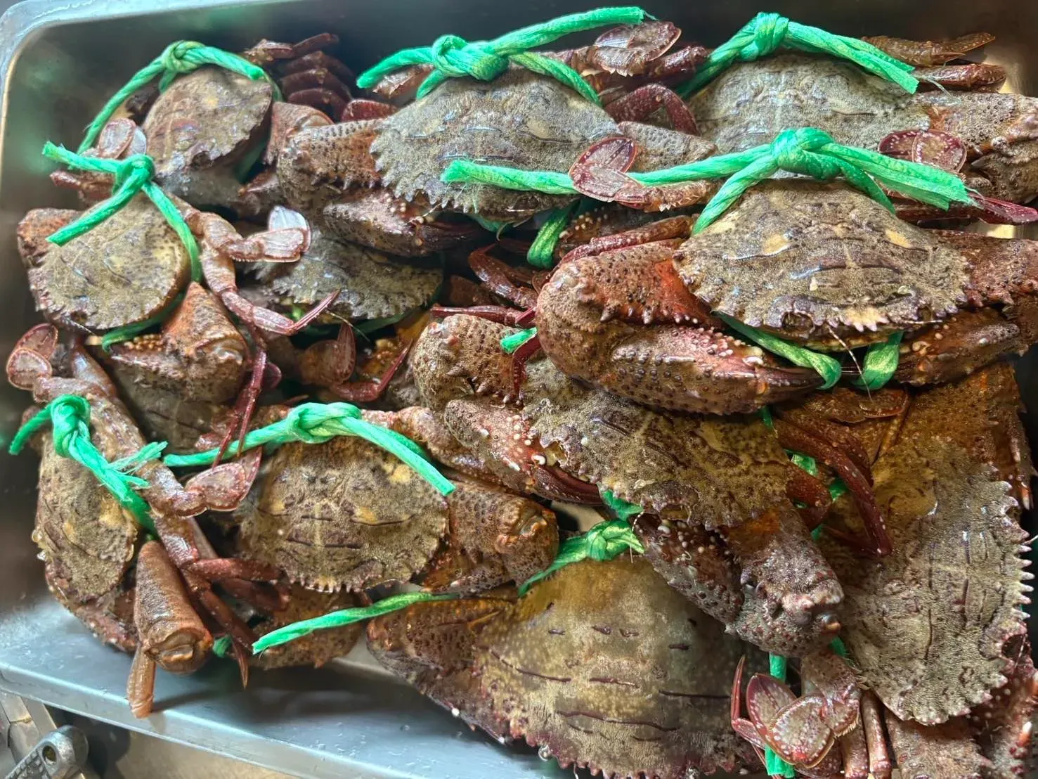 石蟳。（圖／翻攝自臉書粉專A.D. 1977）