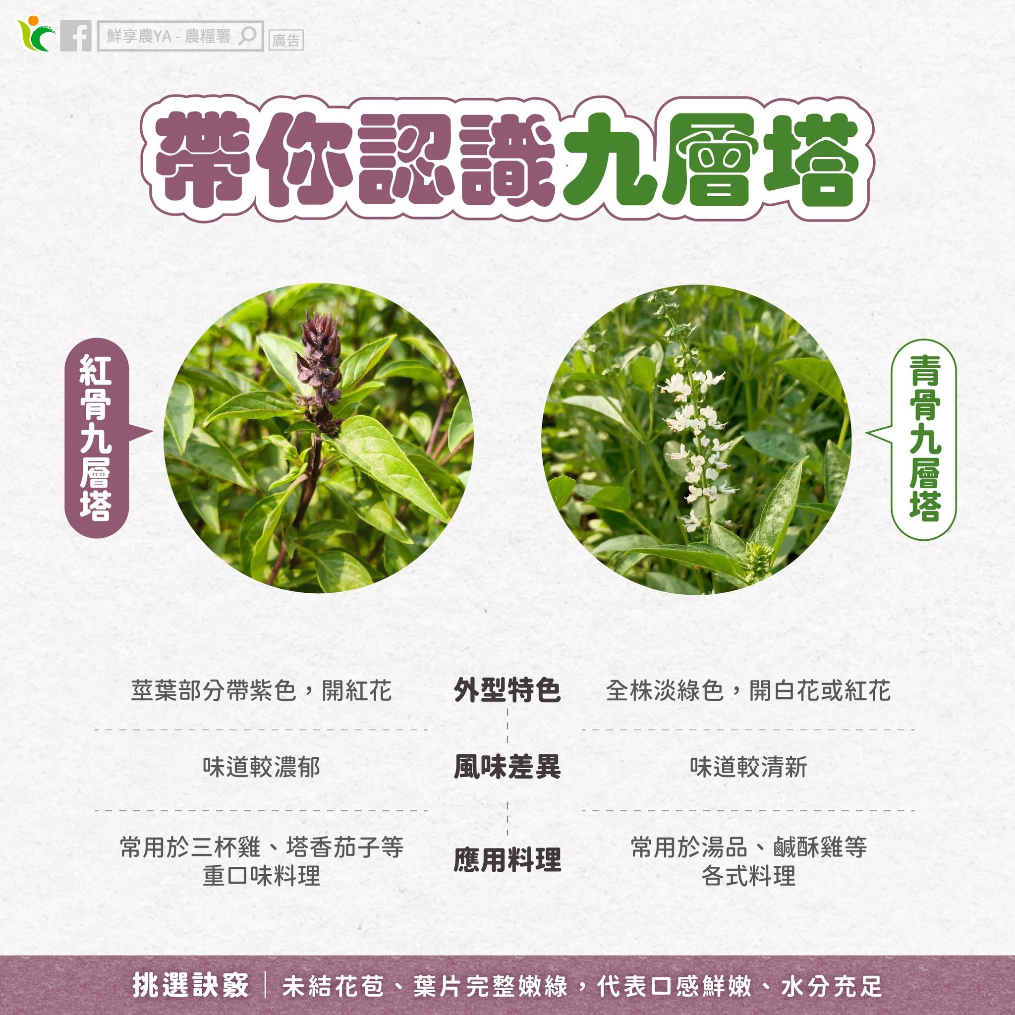 農糧署（圖／取自農糧署提供）