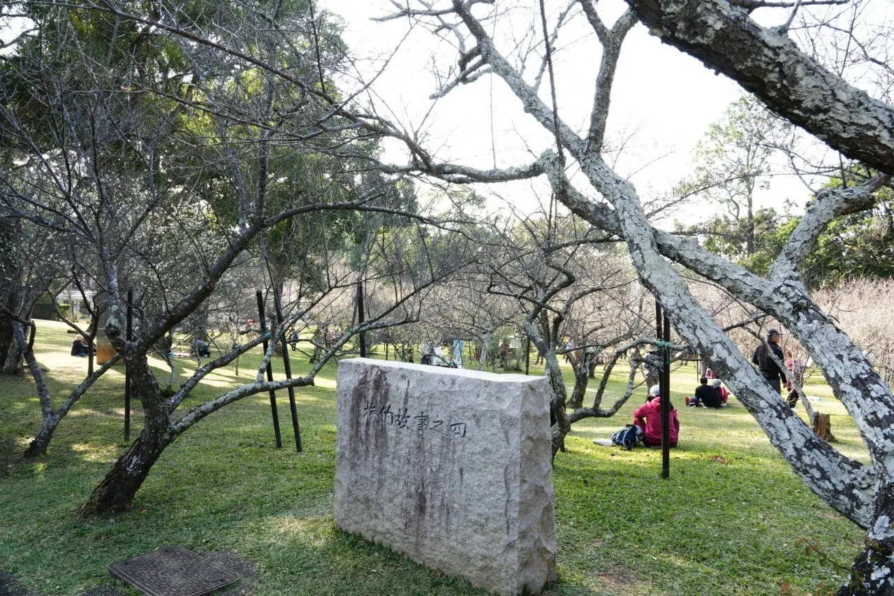 桃園角板山行館為北台灣最大梅園之一，即將盛大舉辦冬季梅花季。（圖／桃園市政府風景區管理處提供）