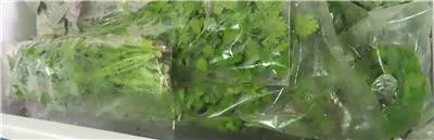 馬來西亞出口「香菜（CORIANDER)」檢出農藥殘留含量不符規定。