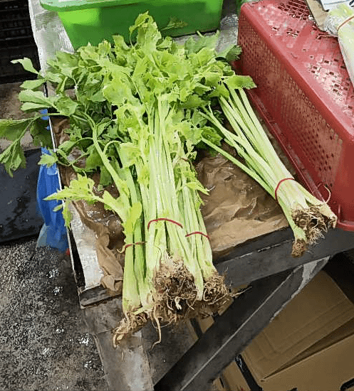 不合規定芹菜。（圖／取自台北市政府衛生局）