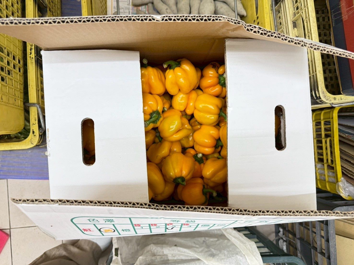 不合規定甜椒。（圖／取自台北市政府衛生局）