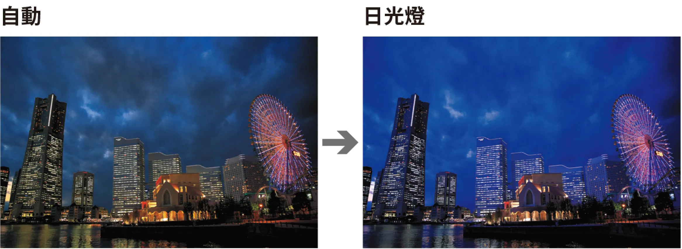 （圖／台灣東販提供）