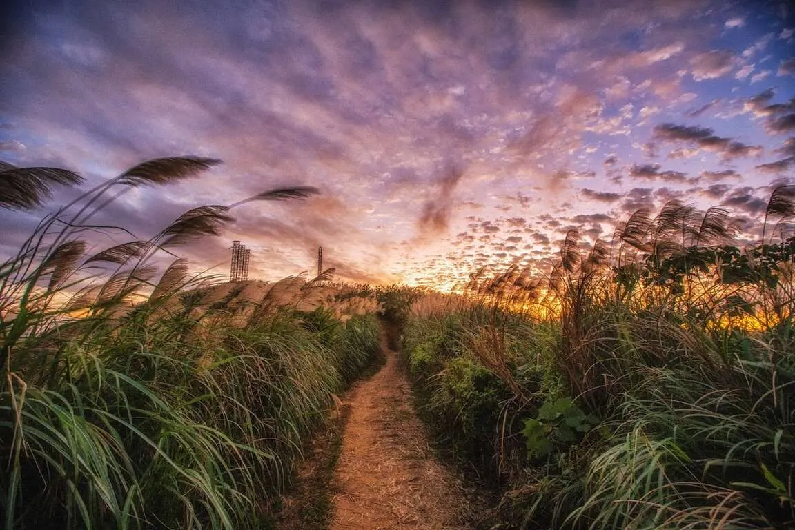 三角埔頂山。（圖／取自新北市觀光旅遊網）