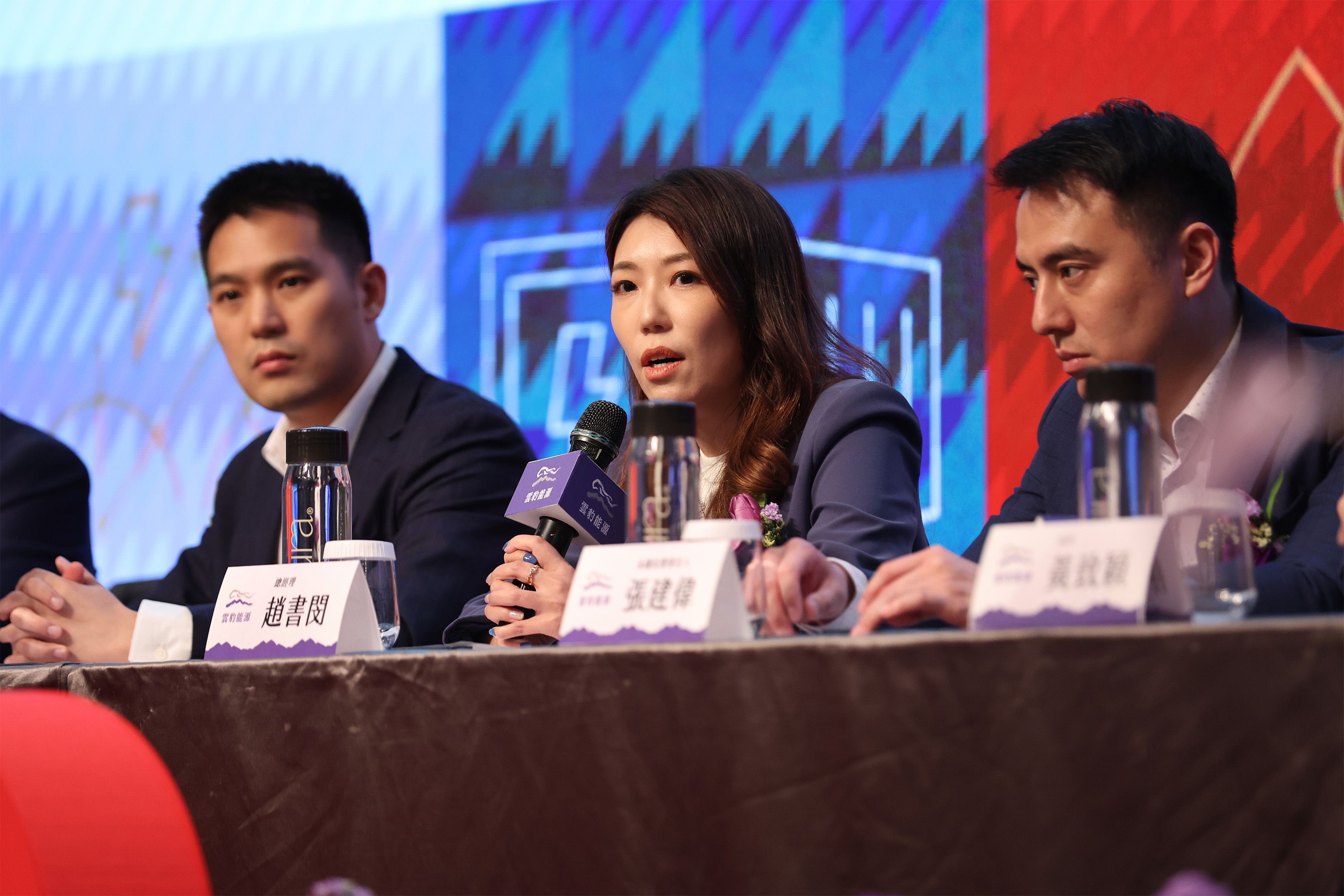 雲豹總經理趙書閔提到，綠電將不再是環保贖罪券，而是掐住高科技廠咽喉的戰略籌碼。（資料照，圖／雲豹能源提供）