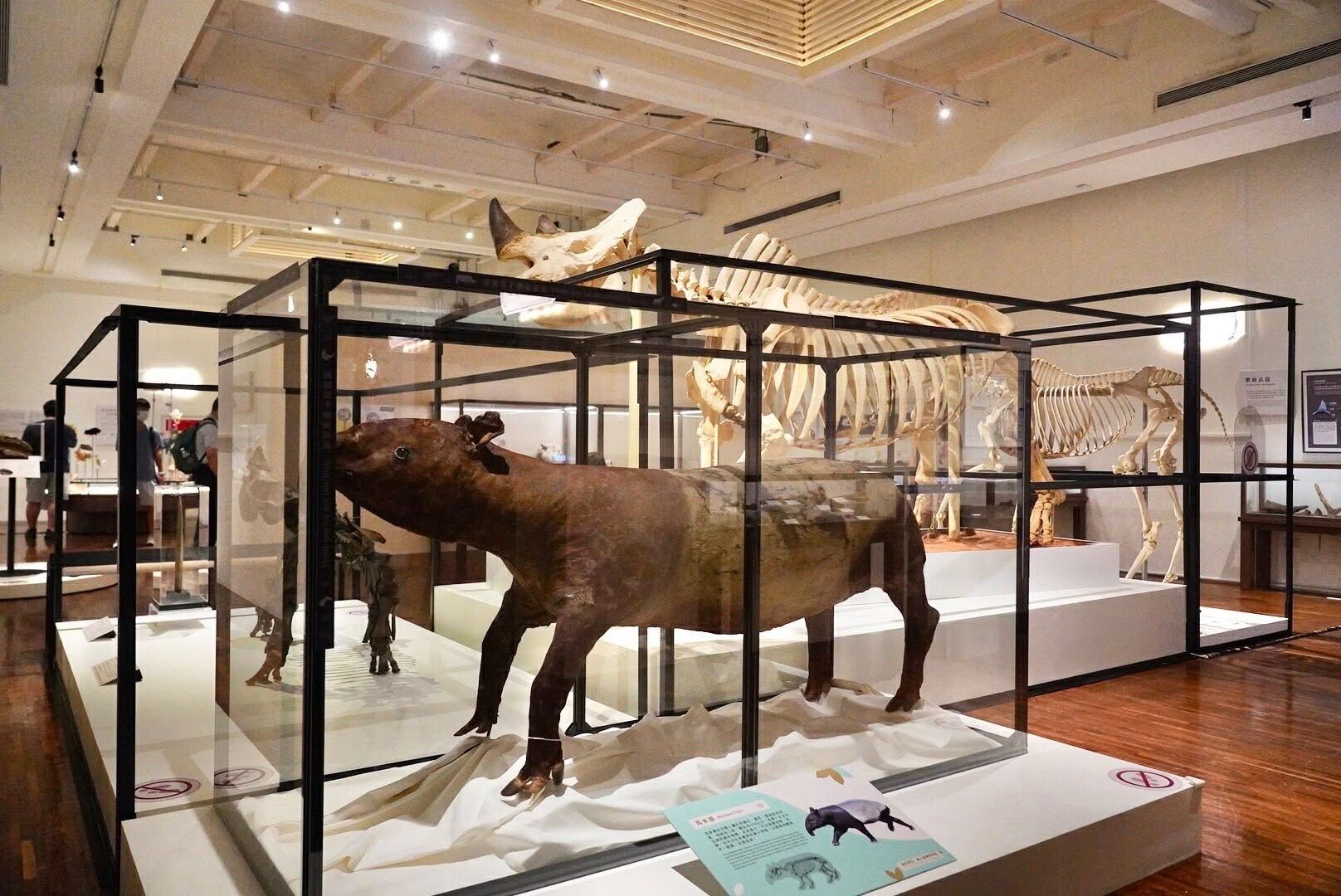 國立臺灣博物館。（圖／取自國立臺灣博物館 National Taiwan Museum）