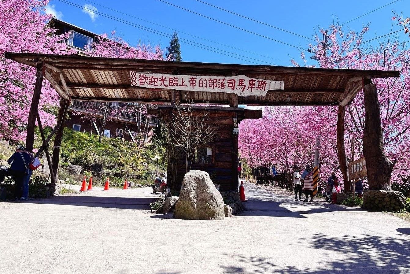 「司馬庫斯」擁有壯麗的神木群步道與清幽的山林氛圍，是許多登山健行愛好者心中的夢幻聖地。（圖／新竹縣政府提供）