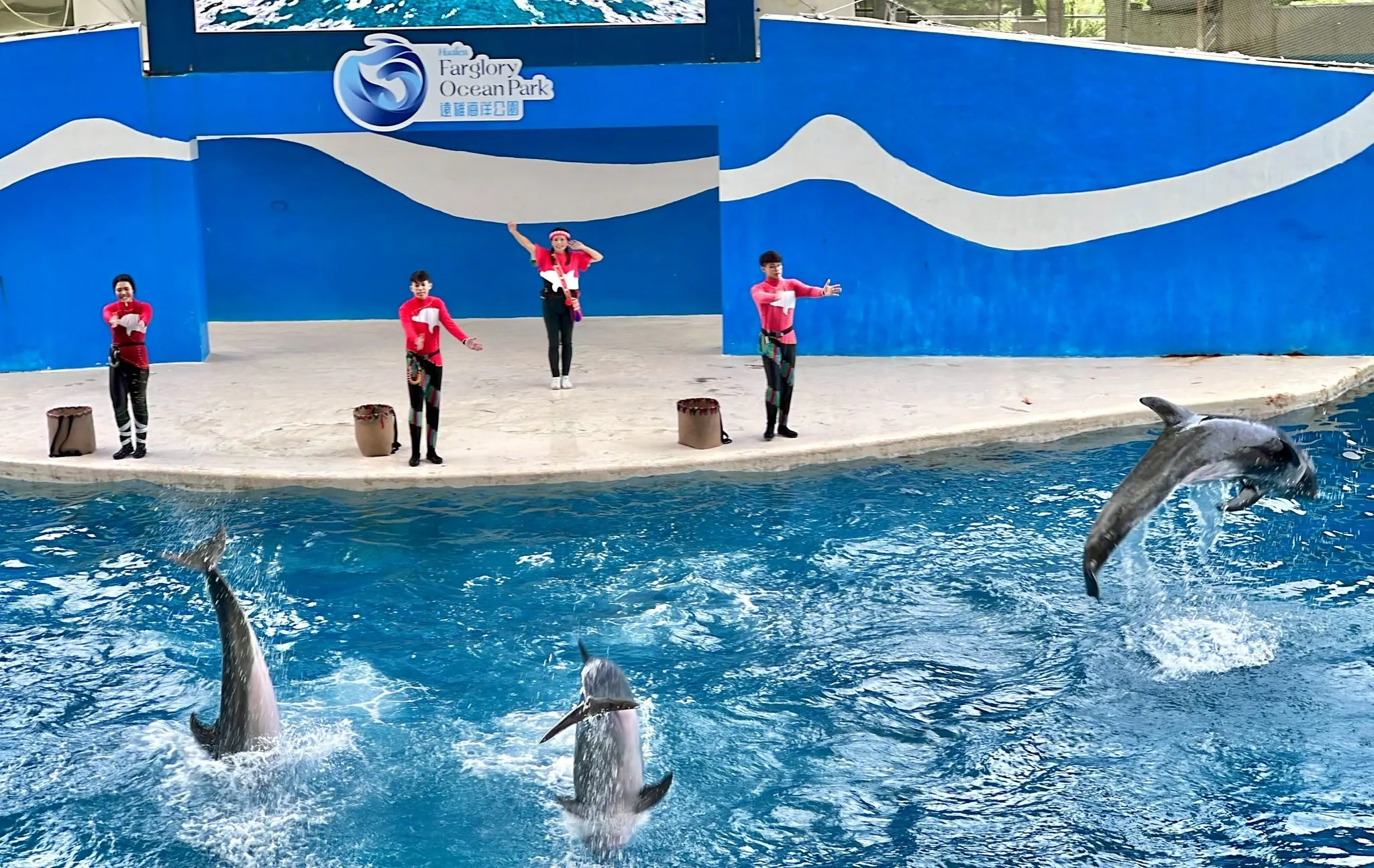 花蓮遠雄海洋公園。（圖／取自遠雄海洋公園臉書）