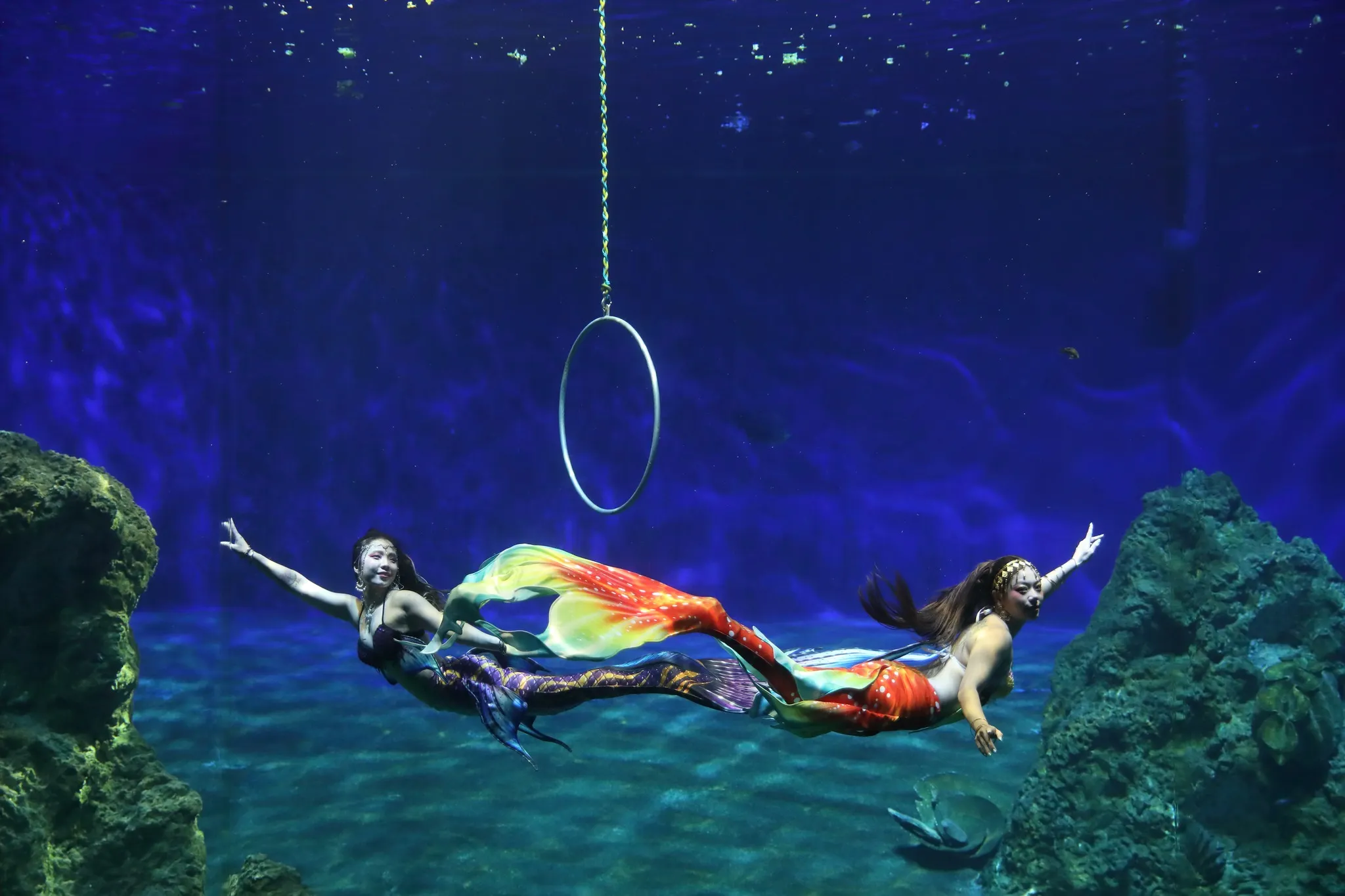 花蓮遠雄海洋公園。（圖／取自遠雄海洋公園臉書）