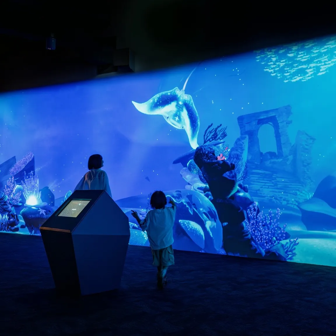 台中海洋館。（圖／取自台中海洋館臉書）