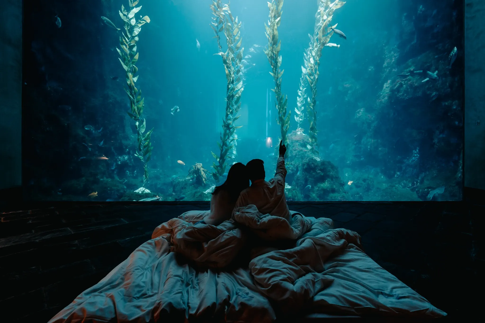 屏東國立海洋生物博物館。（圖／取自屏東國立海洋生物博物館臉書）