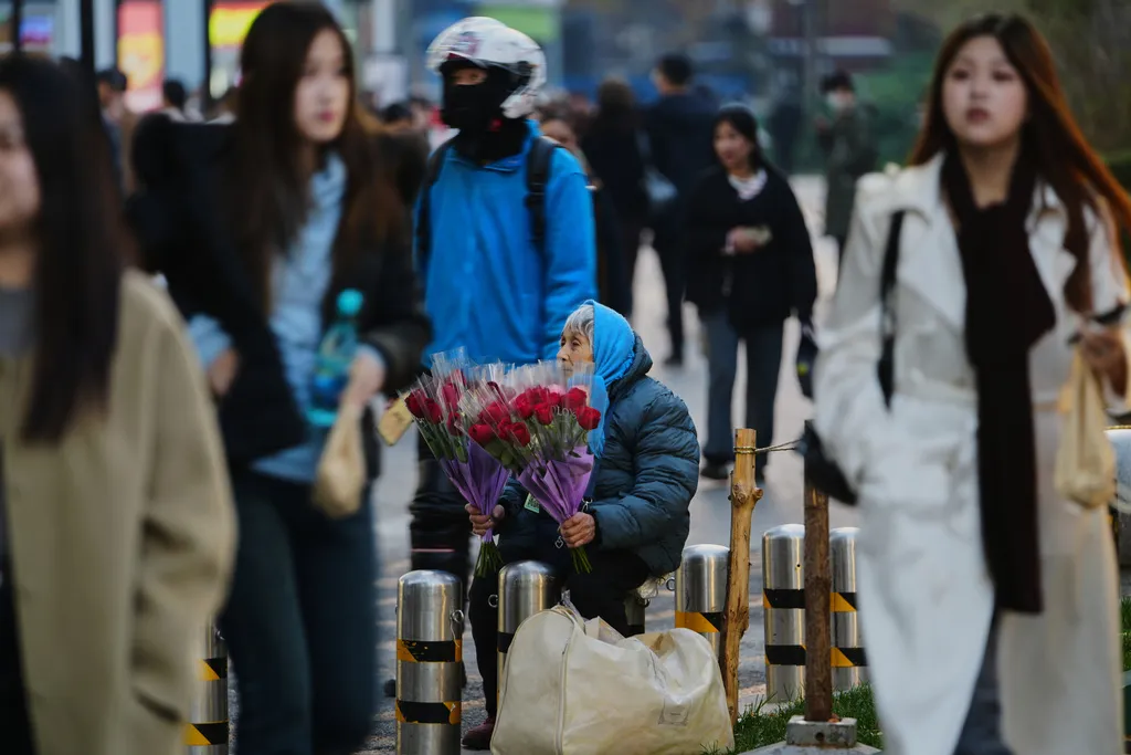 2025年11月23日。在北京一個的熱門購物區，人們走過一位賣玫瑰的老婦女。（AP）