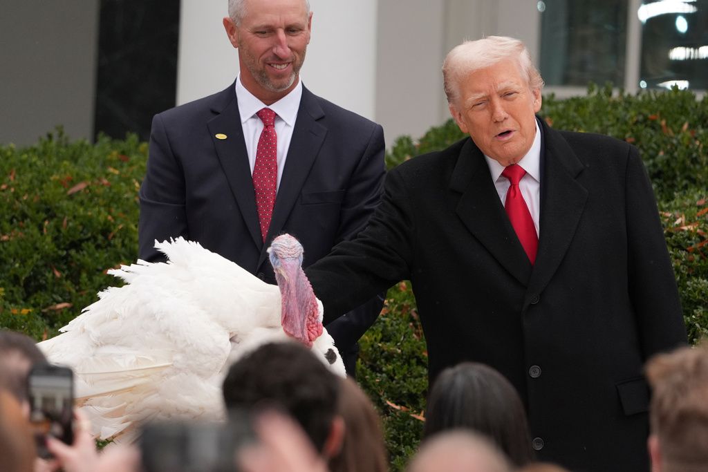 2025年11月25日。美國總統川普（Donald Trump）和第一夫人梅蘭妮亞抵達白宮玫瑰園參加全國感恩節火雞Waddle and Gobble的赦免儀式。（AP）