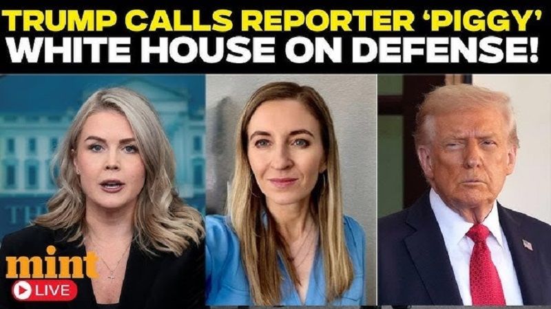 川普總統罵彭博社記者凱薩琳·露西 (中間)「小豬！」，白宮發言人卡洛琳·李維(左方)稱川普的說法「坦率、直言。」（視頻截圖）