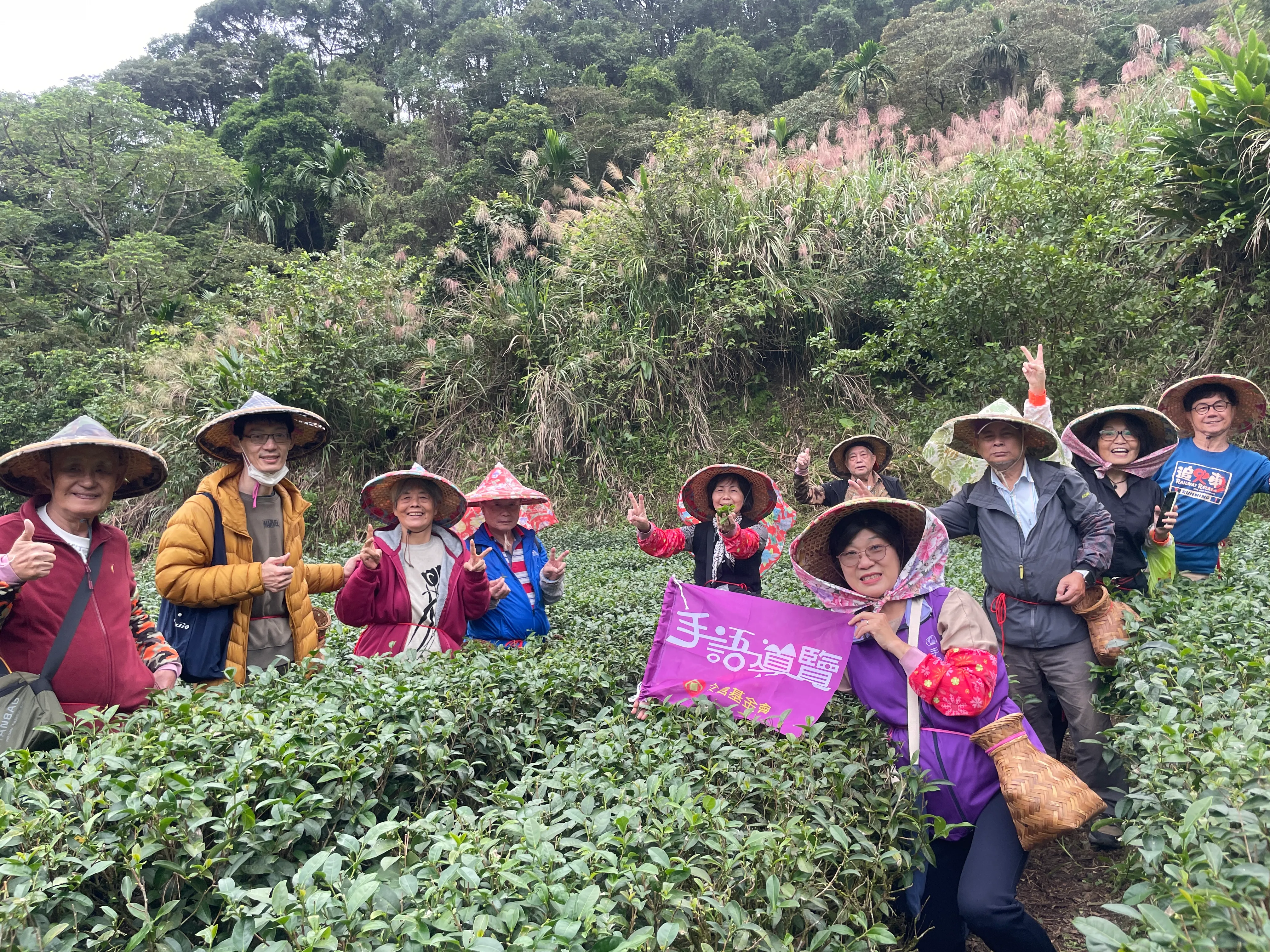 「茶山手語導覽」活動透過走訪茶園的設計，讓聽障朋友能以多重感官體驗茶文化。（圖/新北市政府文化局）