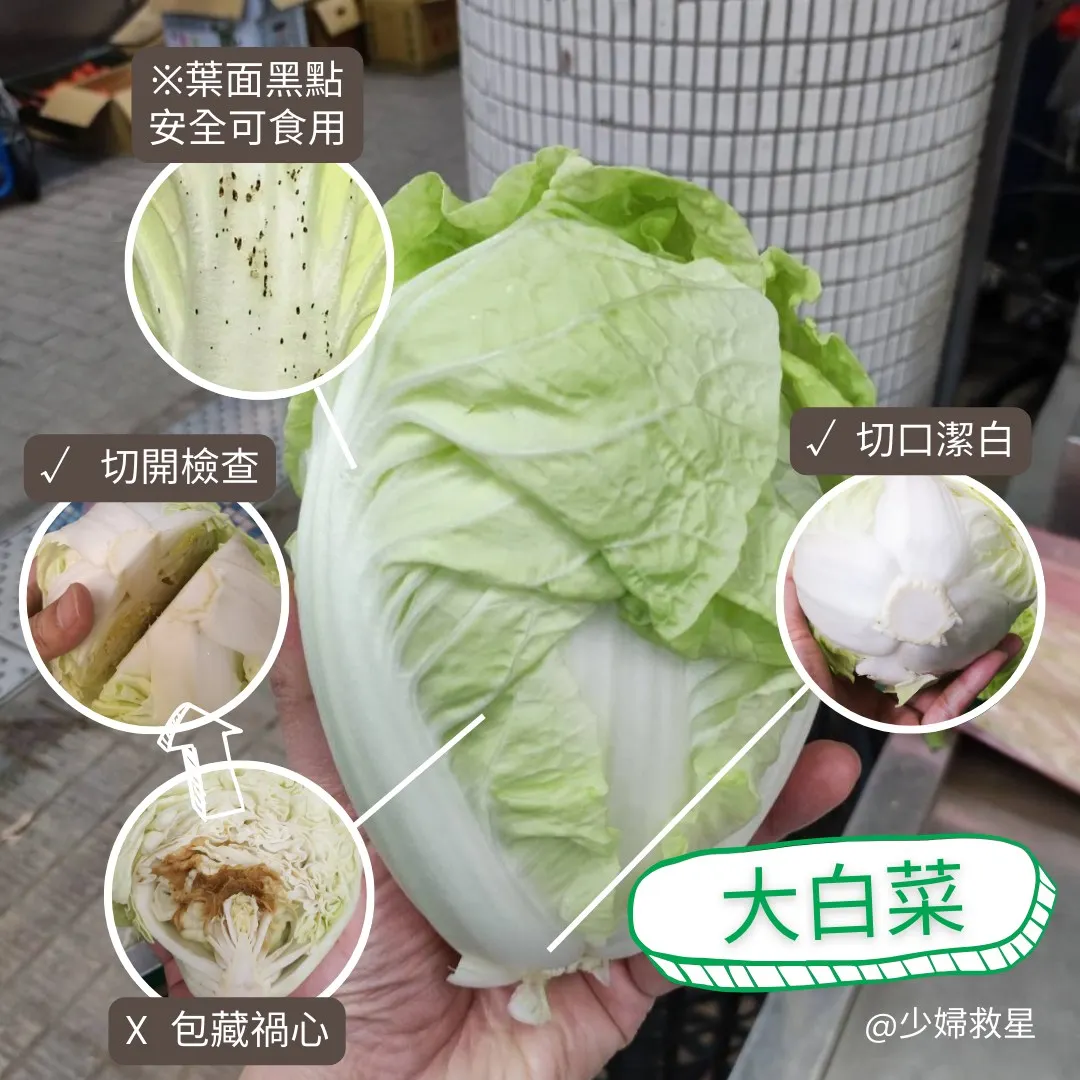 大白菜有黑點沒關係，出現爛菜心別吃。（圖／廖炯程提供）