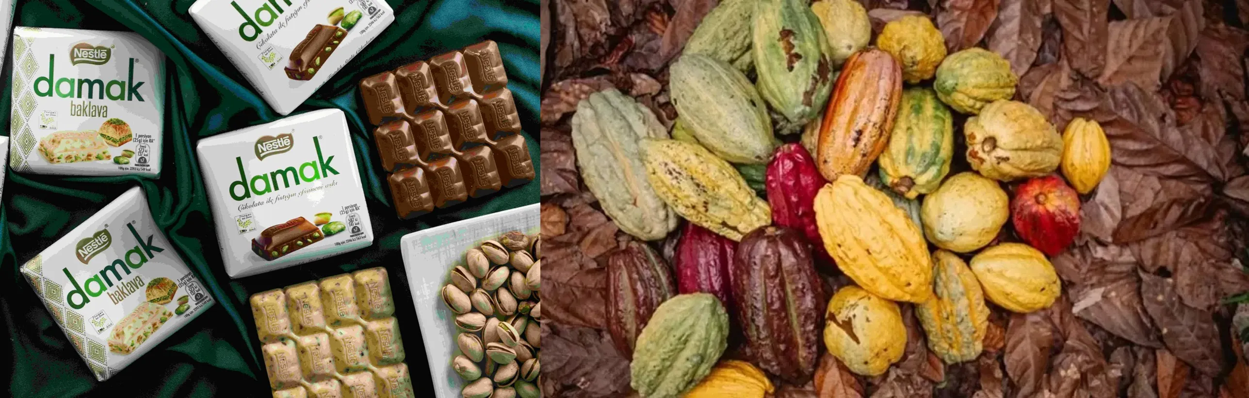(左)：「雀巢DAMAK 開心果巧克力」嚴選產自土耳其安泰普的珍稀開心果仁，每一口都充滿濃郁堅果風味與滑順牛奶香氣。 (右)：雀巢可可計畫以科學方法打造更具韌性的可可供應鏈，落實負責任採購，讓全球消費者安心享受高品質巧克力。