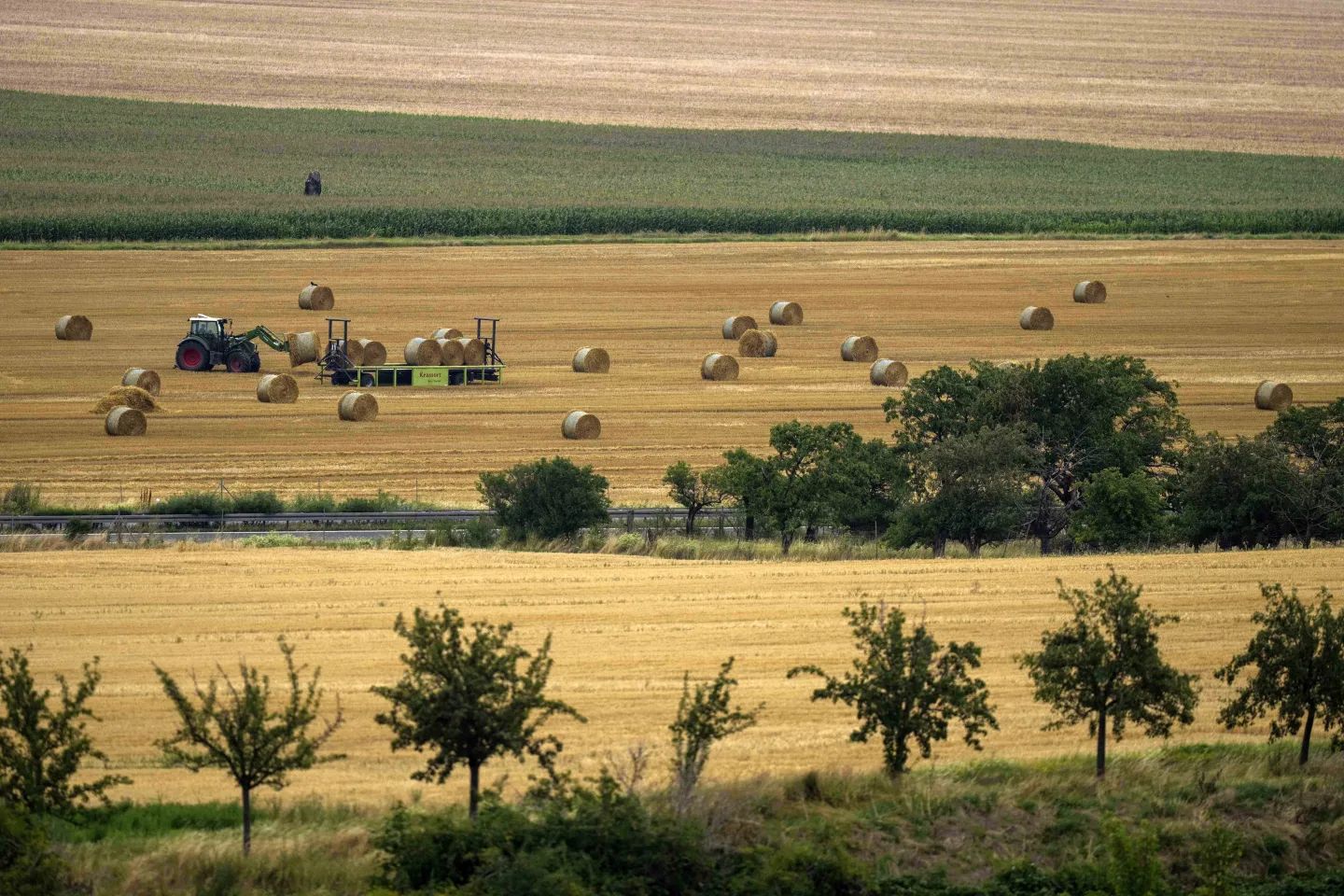 2023年7月25日。農民在德國維爾尼格羅德（Wernigerode）附近的哈爾茨（Harz）山脈收割農作物。（AP）