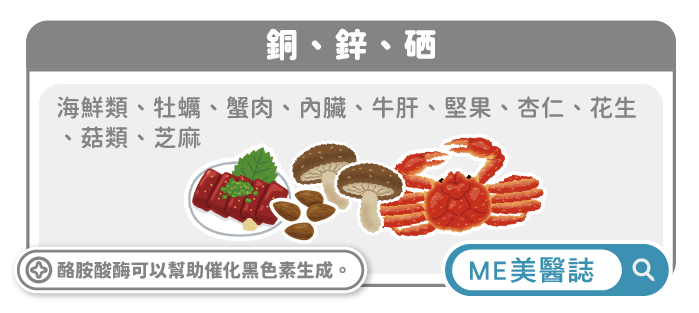 負責酪胺酸路徑的「酪胺酸酶」也很重要，酪胺酸酶可以催化黑色素的生成，它需要一些特別的離子去幫忙產生黑色素，例如銅、鋅、硒等（圖／美醫誌提供）