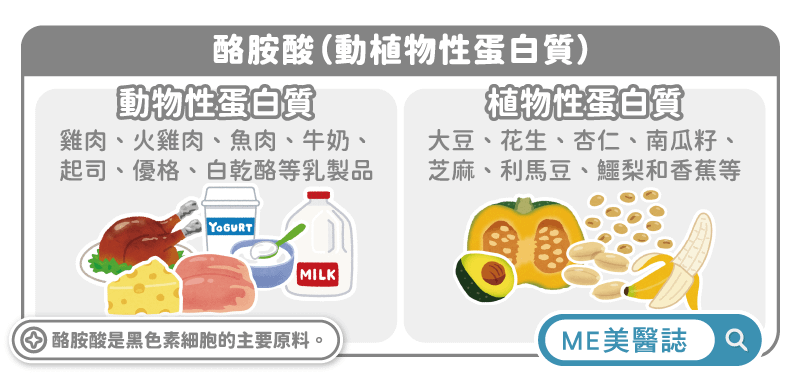 酪胺酸（動植物性蛋白質）（圖／美醫誌提供）