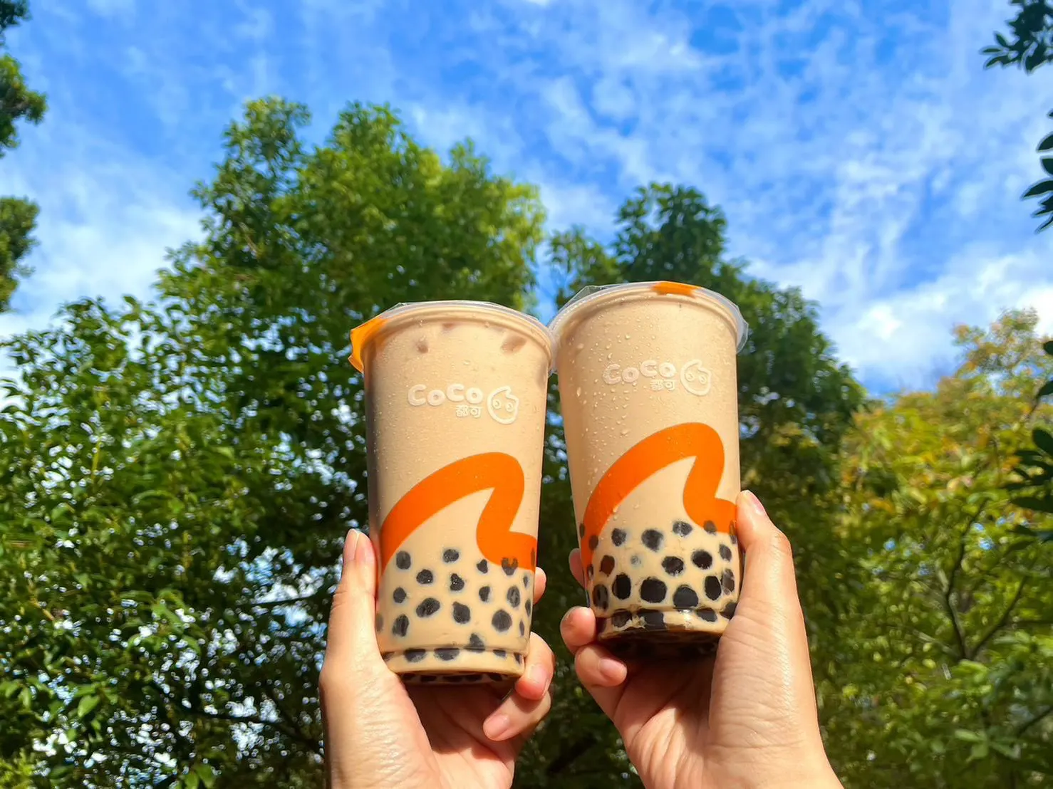 CoCo 都可飲料推薦：珍珠奶茶。（圖／CoCo都可提供）.jpg