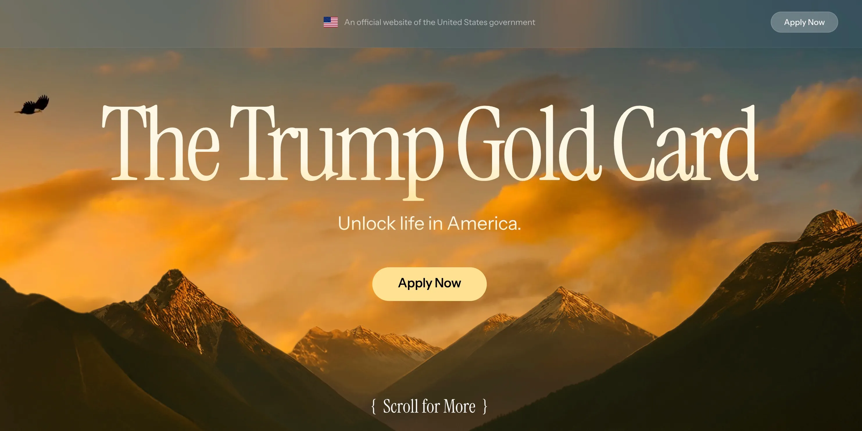 川普金卡提供課重金辦理移民的快速通道。（翻攝官網）