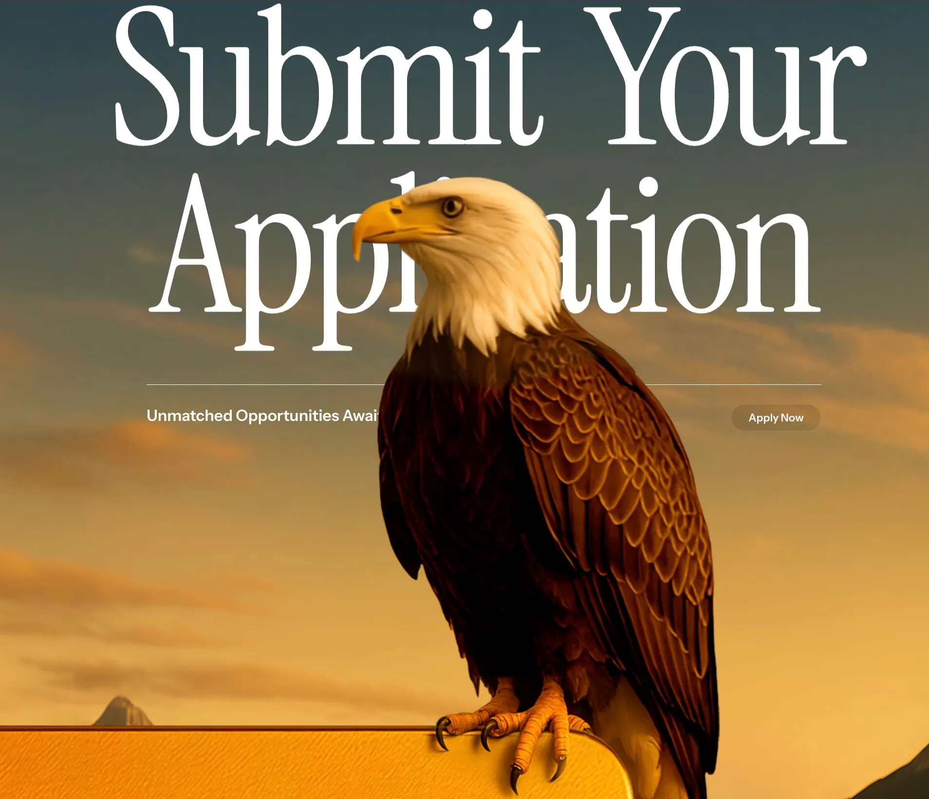 川普金卡提供課重金辦理移民的快速通道。（翻攝官網）