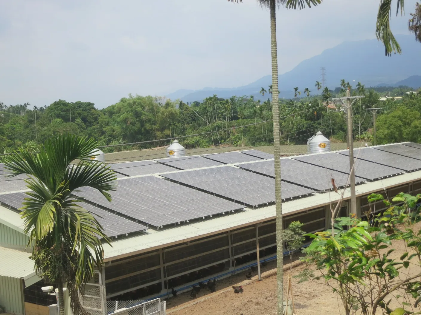 勤億蛋品導入的負壓水簾式系統能使雞舍保持「負壓環境」，大幅降低病原亂流的風險。（圖／勤億蛋品提供）