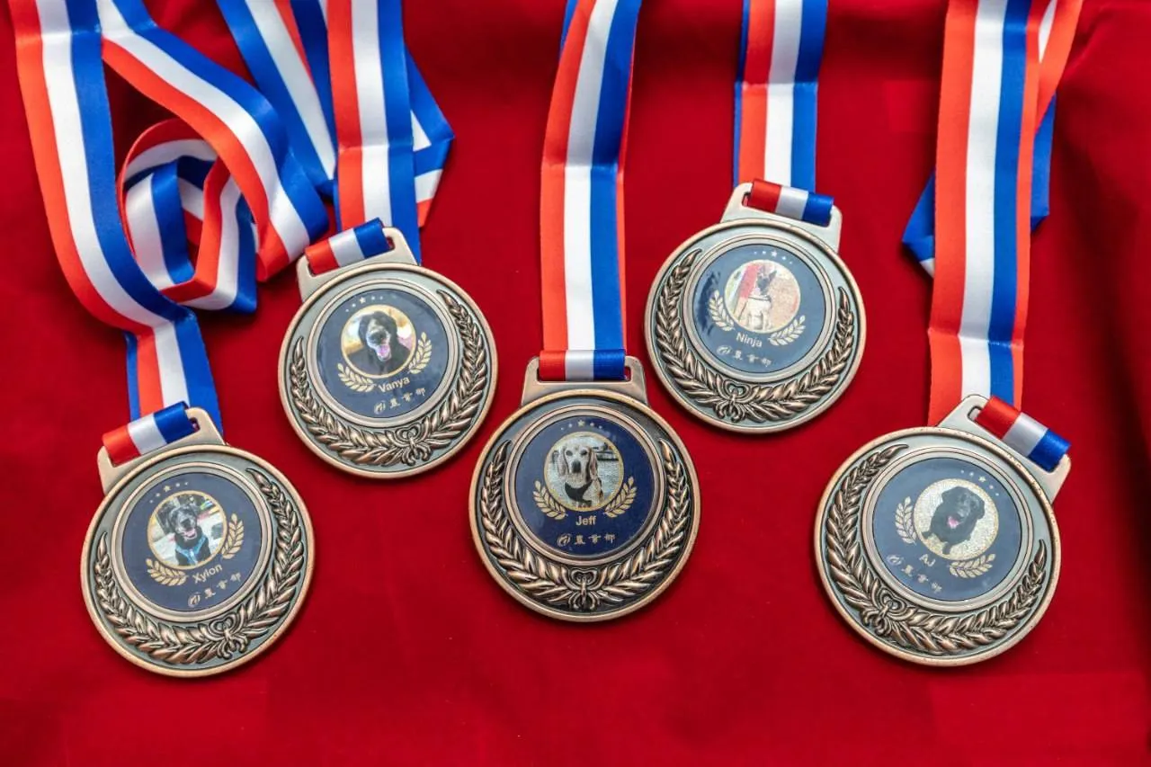 頒發退役犬獎章及「退役犬大禮包」，讓這些為國家奉獻的犬隻感受到滿滿的榮耀與關懷。(圖/動物保護司)