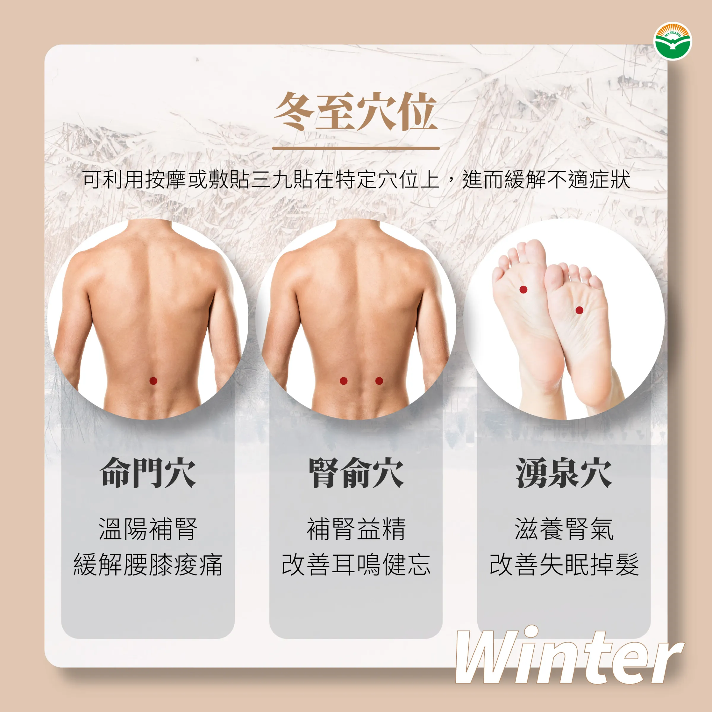 冬至節氣穴道。（圖／馬光中醫提供）