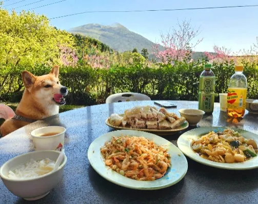 陽明山竹子湖必吃美食｜陽明山竹子湖杉木林餐廳（圖／杉木林餐廳粉絲專頁）