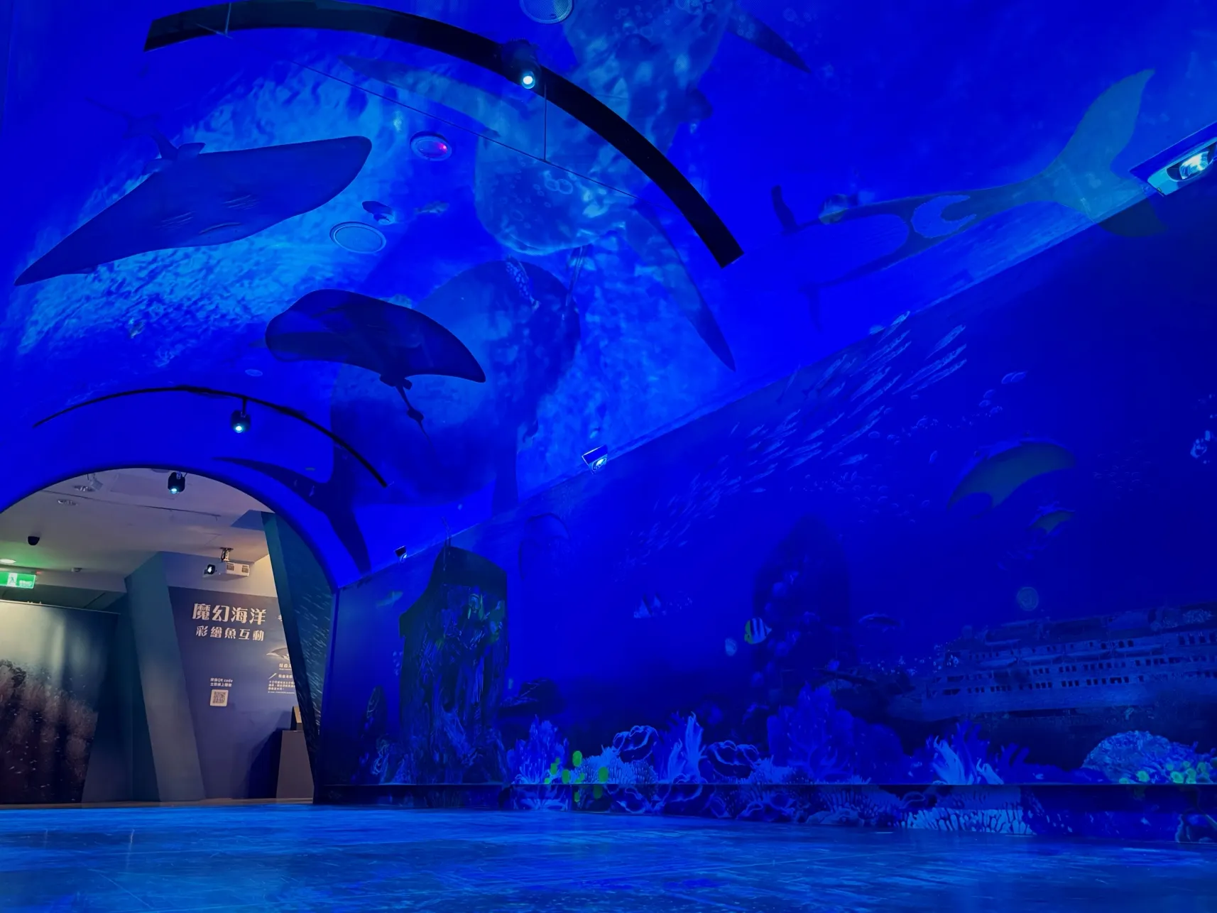 長達15米的「沈浸式海底隧道」運用無接縫投影技術重現沉船遺址魚群動態。（圖/新北市立十三行博物館）