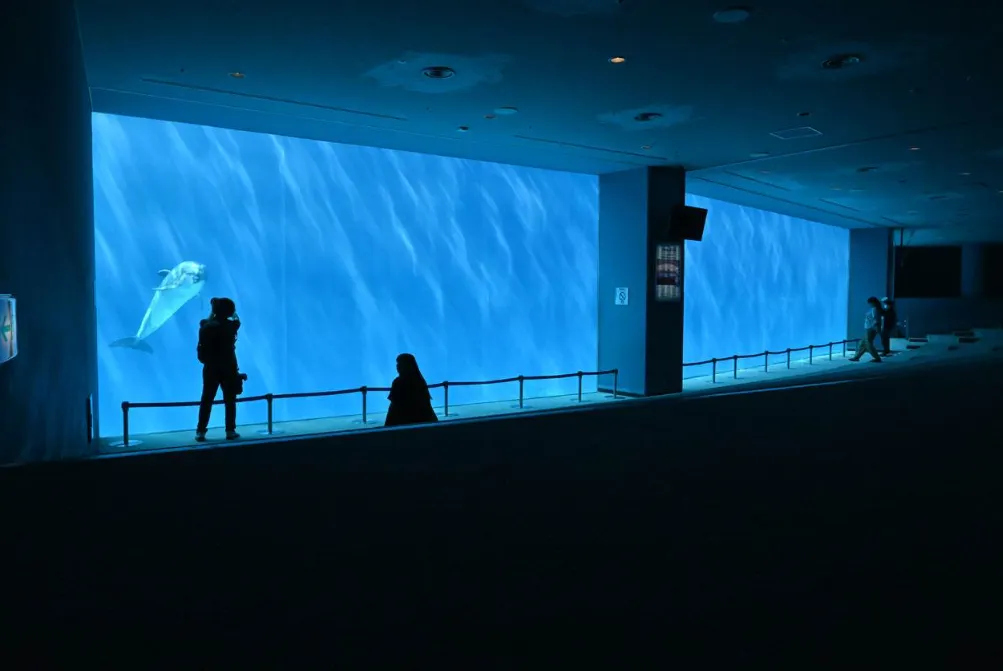 名古屋景點推薦：名古屋港水族館。（圖／取自X@port_nagoaqu）