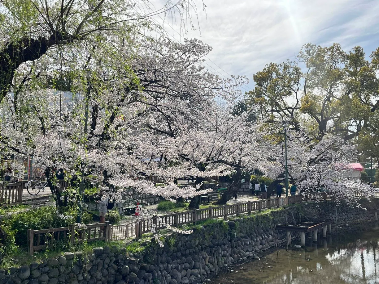 名古屋景點推薦：鶴舞公園。（圖／取自X@tsurumapark）