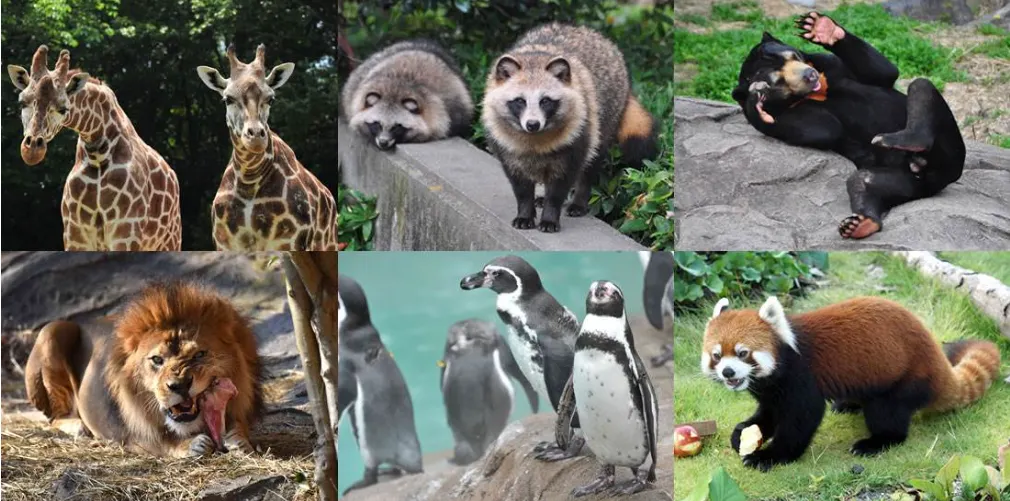 名古屋景點推薦：東山動植物園。（圖／取自東山動植物園官網）