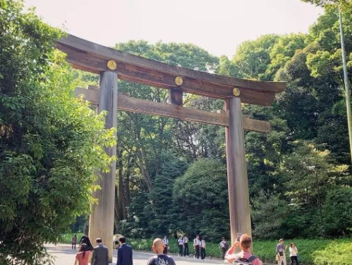 東京必去景點｜明治神宮（圖／取自IG@kamisamano_momo）