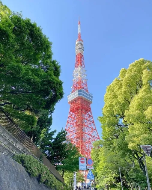 東京必去景點｜東京鐵塔（圖／取自IG@sophi1_c）