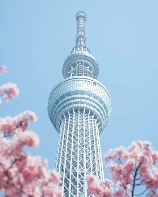 東京必去景點｜晴空塔（圖／取自IG@anson7.24授權分享）
